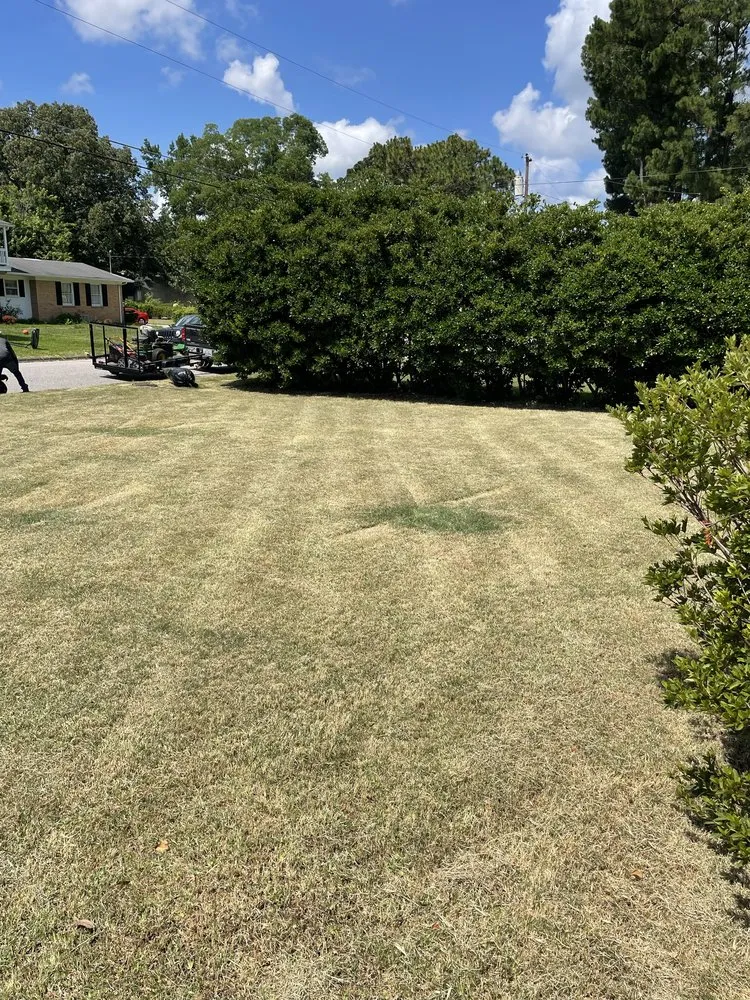 Professional landscape installation for year-round maintenance in Saint Pauls, NC by ABC Lawn Care
