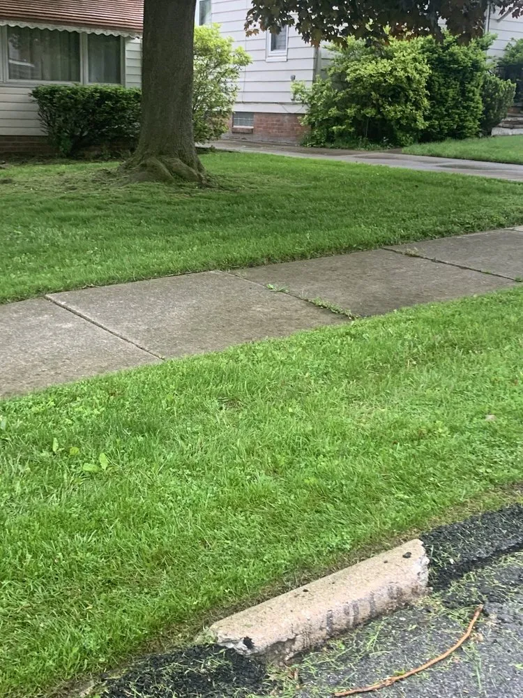 Expert lawn care service in Garfield Heights, OH by ABC Lawn-Care Services