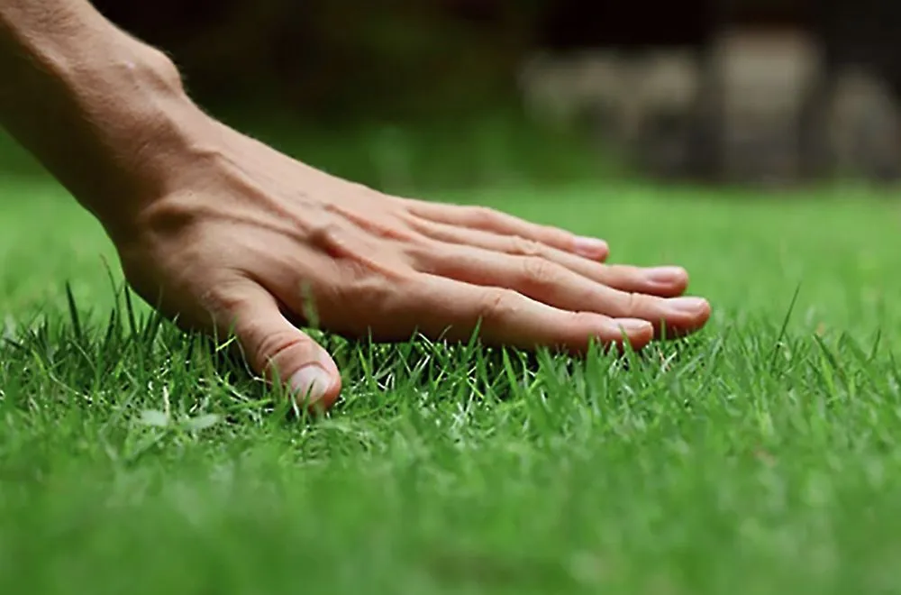 Expert yard maintenance experts serving St. Louis, MO - ABC Lawn Care