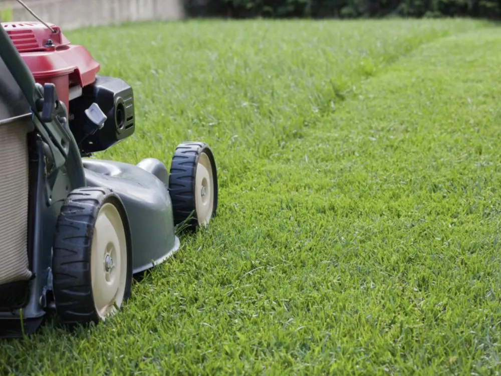 Trusted landscape design for homes across St. Louis, MO - ABC Lawn Care