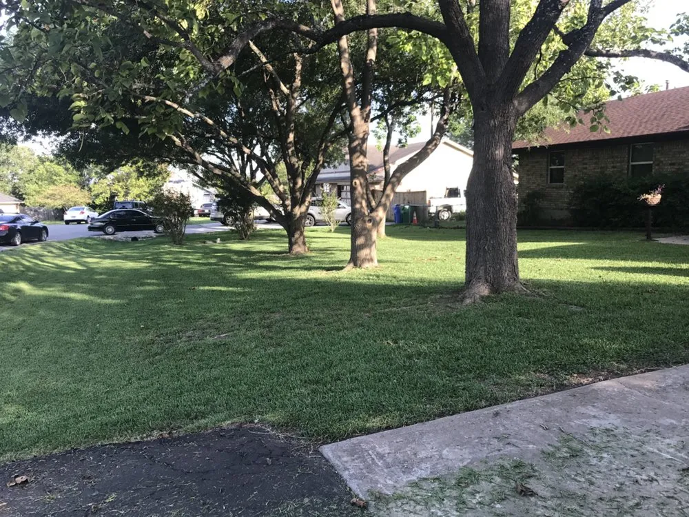Top-rated yard maintenance for homes across Pflugerville, TX - ABC Lawn