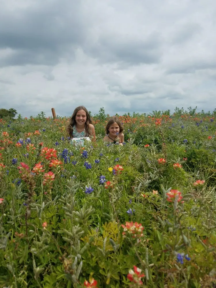 Trusted outdoor landscaping for beautiful yards in Crowley, TX by ABC Lawn Service