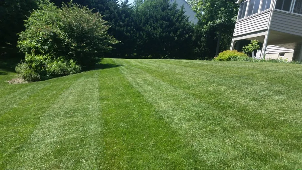 Custom outdoor landscaping experts serving Bel Air, MD - ABC Lawncare and Landscaping