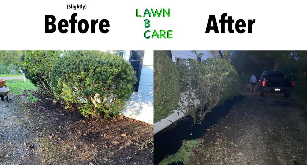 Affordable landscape installation in Chardon, OH by ABC Lawncare