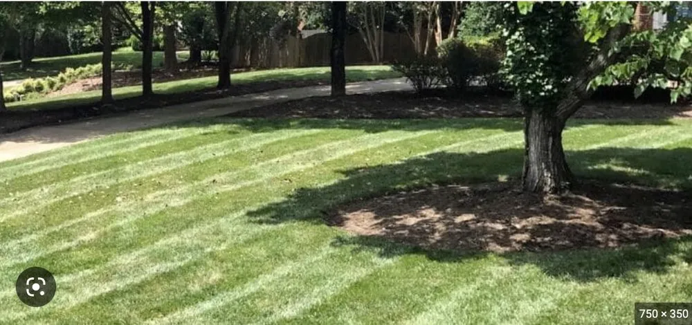 Top-rated lawn mowing service in Chardon, OH by ABC Lawncare