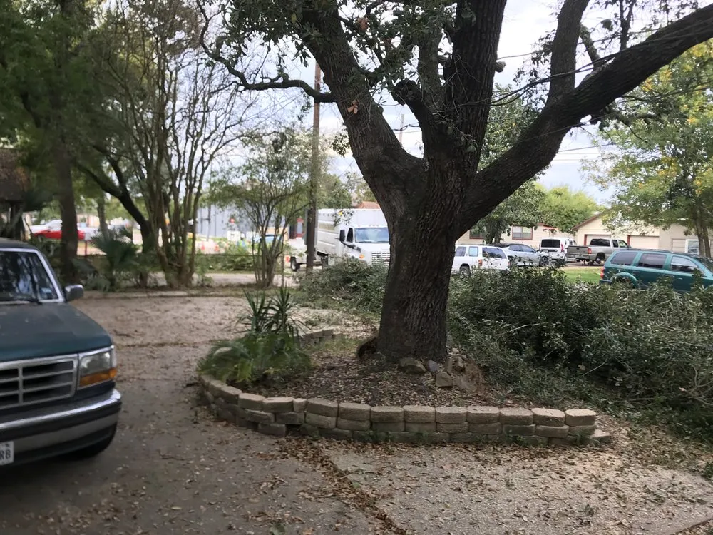 Top-rated garden landscaping in Webster, TX - ABC Professional Tree Services