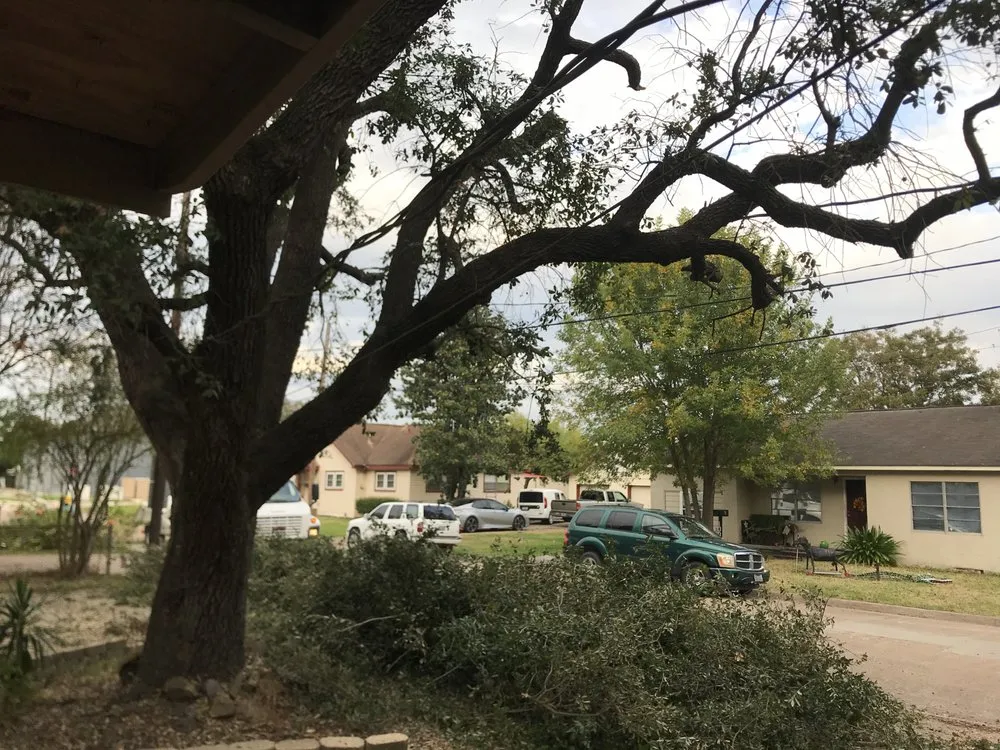 Affordable outdoor landscaping in Webster, TX by ABC Professional Tree Services