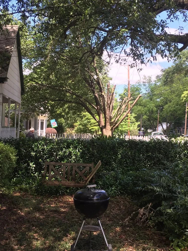 Local outdoor landscaping for beautiful yards across Webster, TX - ABC Professional Tree Services