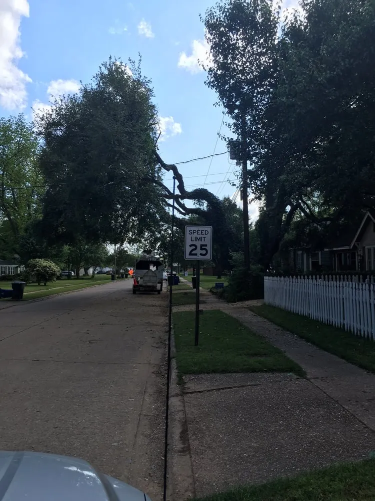 Affordable residential landscaping with custom design in Webster, TX by ABC Professional Tree Services