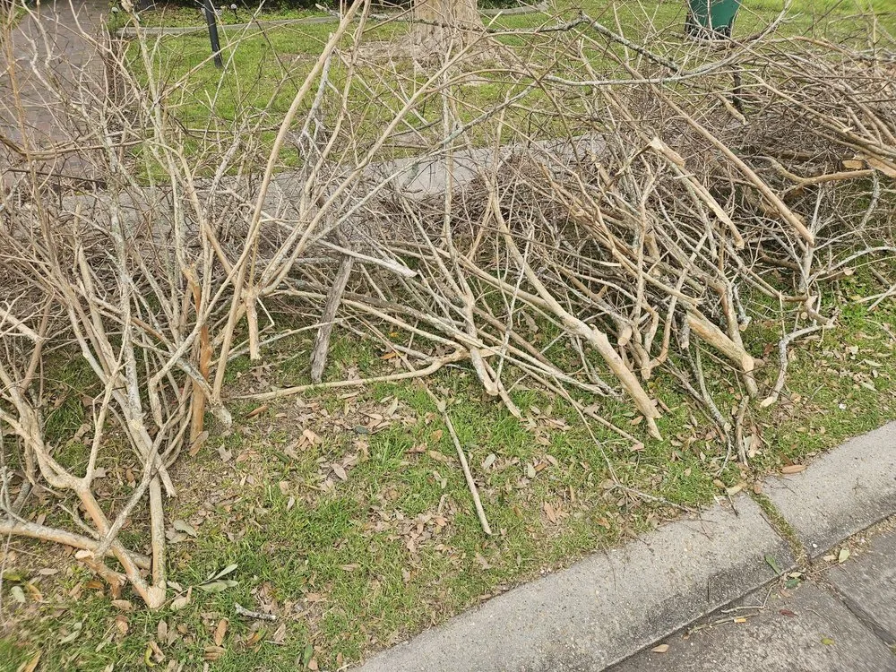 Top-rated garden landscaping in Webster, TX by ABC Professional Tree Services