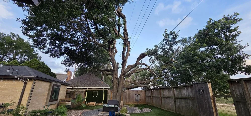 Local residential landscaping in Webster, TX by ABC Professional Tree Services