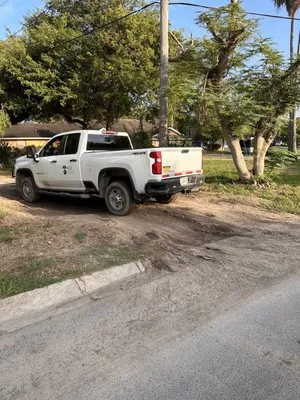 ABC Professional Tree Services Logo
