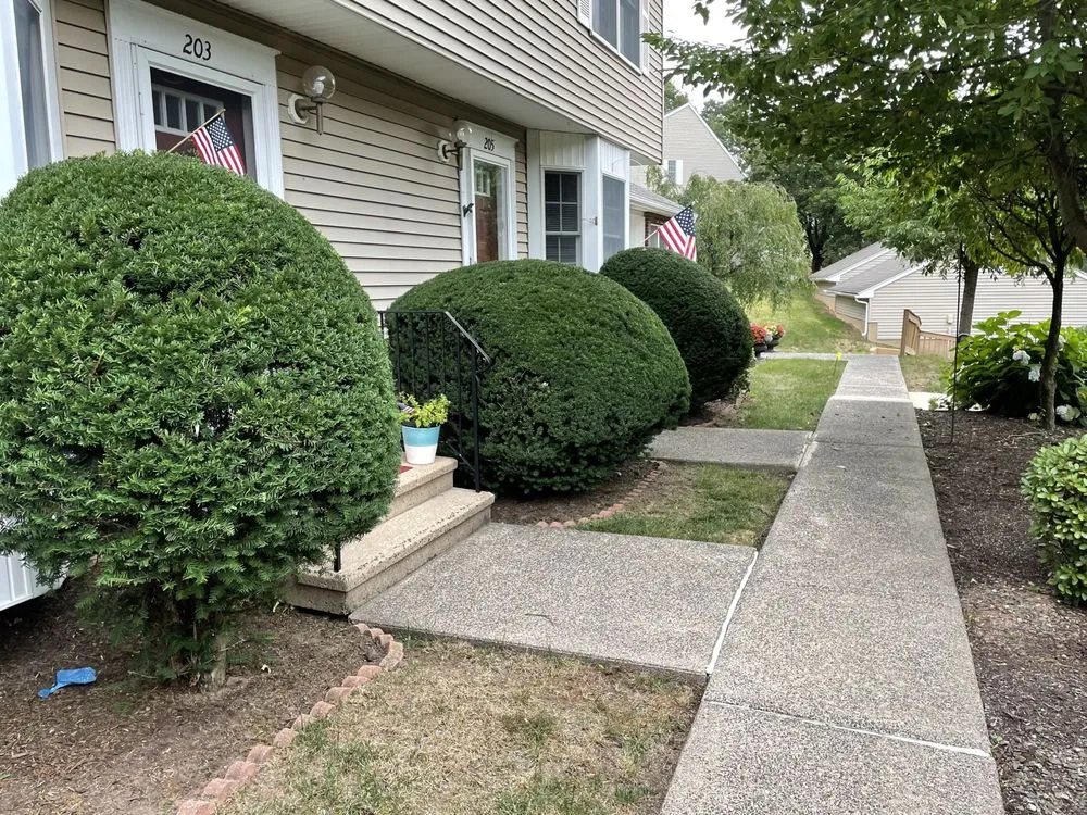 Local yard cleanup service in South Windsor, CT by ABC Property Care