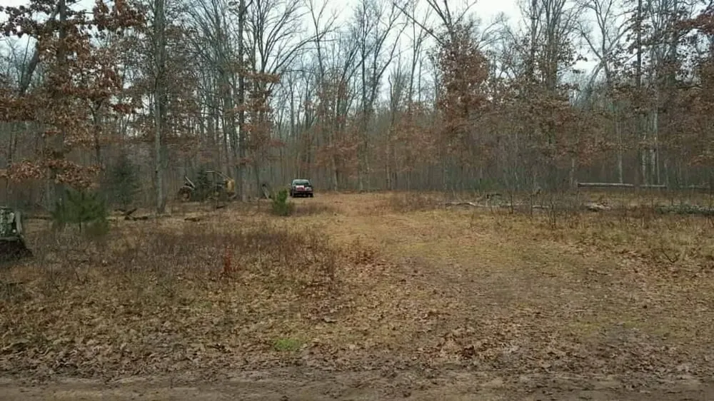 Expert landscape design near you in Baldwin, MI by ABC Property Management / Logging