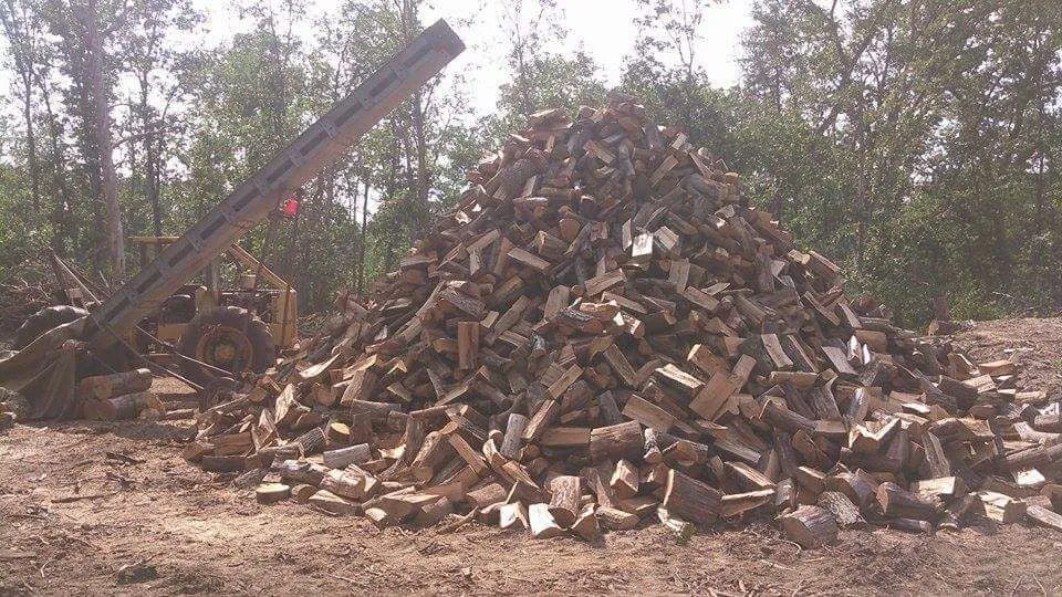 Professional landscape design experts serving Baldwin, MI - ABC Property Management / Logging