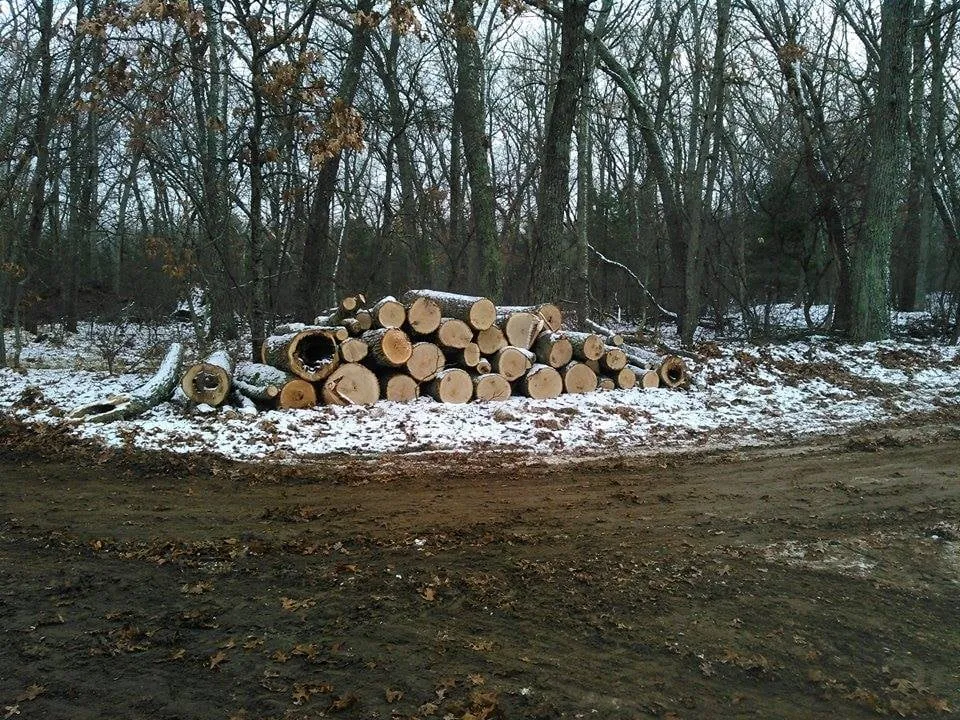 Affordable yard maintenance with custom design in Baldwin, MI by ABC Property Management / Logging