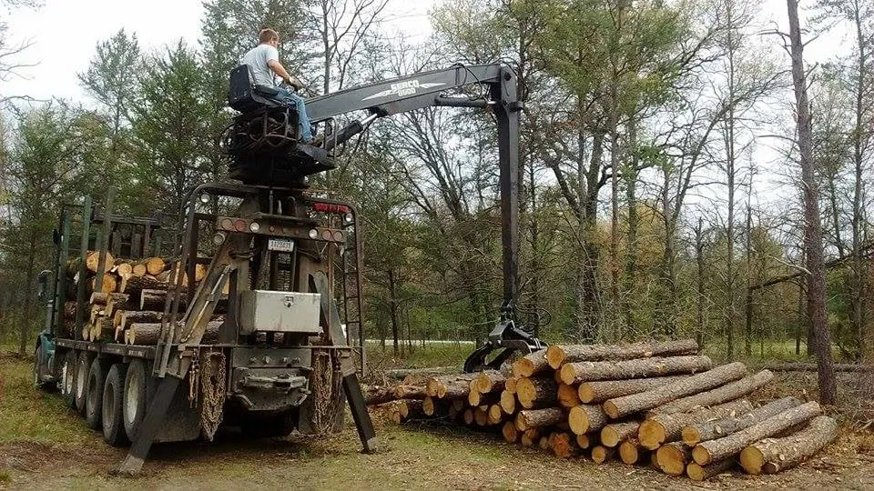Local yard cleanup service experts serving Baldwin, MI - ABC Property Management / Logging
