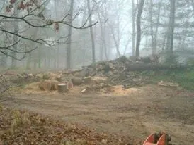 Professional lawn mowing service for homes in Baldwin, MI by ABC Property Management / Logging