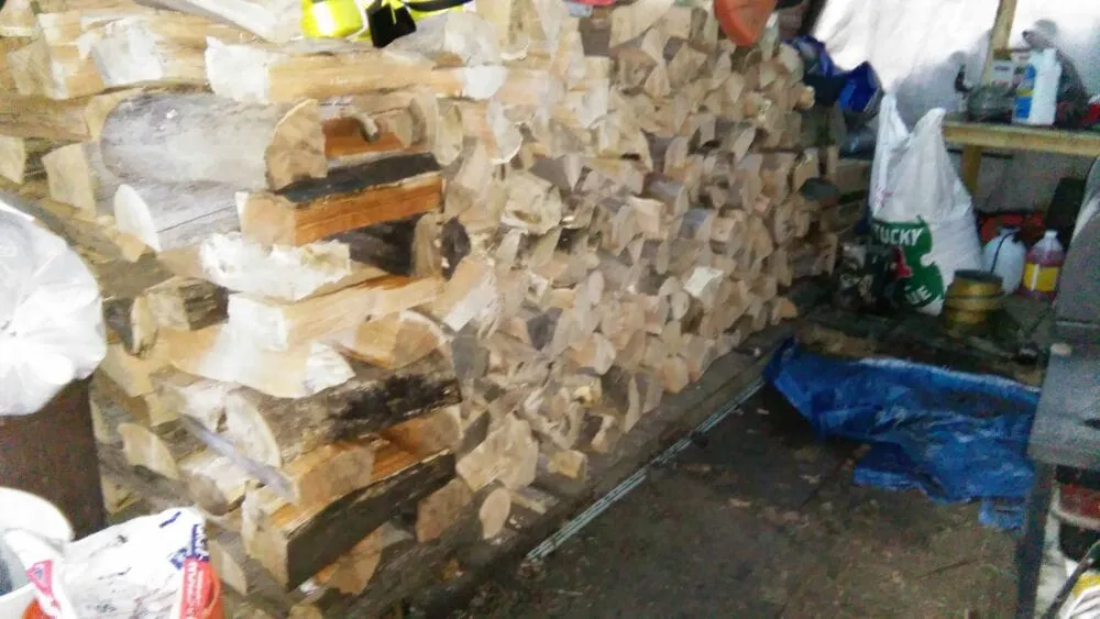 Professional lawn mowing service for homes across Baldwin, MI - ABC Property Management / Logging