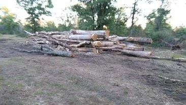 Local lawn care service in Baldwin, MI - ABC Property Management / Logging