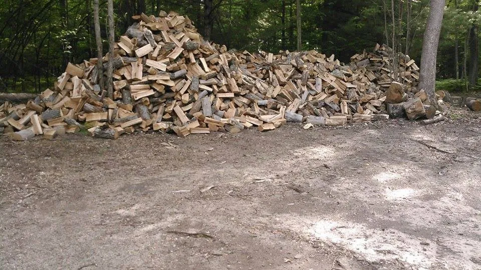 Reliable lawn care service in Baldwin, MI by ABC Property Management / Logging