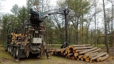 Top-rated residential landscaping in Baldwin, MI by ABC Property Management / Logging