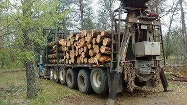 Expert outdoor landscaping for residential properties in Baldwin, MI by ABC Property Management / Logging