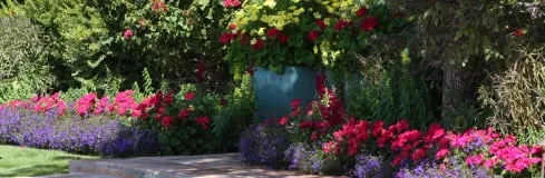 Local garden landscaping in Phoenix, AZ - ABC Scapes