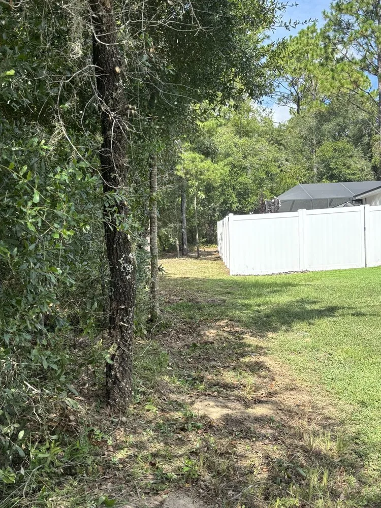 Professional yard cleanup service in Dunnellon, FL by Abc Sitework