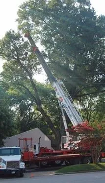 Trusted landscape installation for residential properties across Harrison, TN - ABC Tree Service