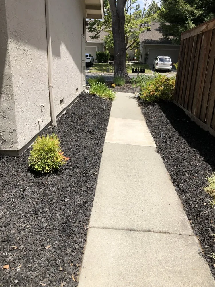 Reliable lawn mowing service for outdoor upgrades in Castro Valley, CA by ABC Yard and Lawn Care