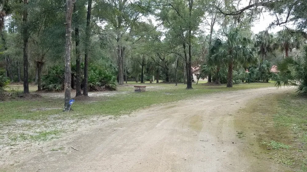 Custom lawn mowing service for outdoor upgrades across Old Town, FL - Abco Lawn and Landscaping