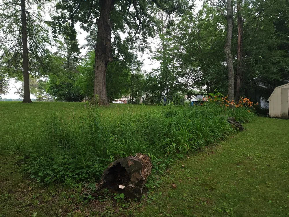 Reliable lawn mowing service for beautiful yards across Kankakee, IL - Abe & Rhett's Lawn Care