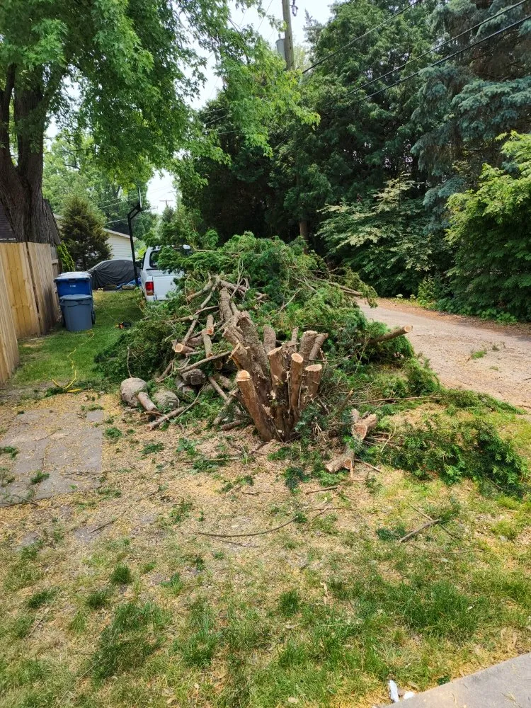 Professional outdoor landscaping for beautiful yards in Kankakee, IL by Abe & Rhett's Lawn Care