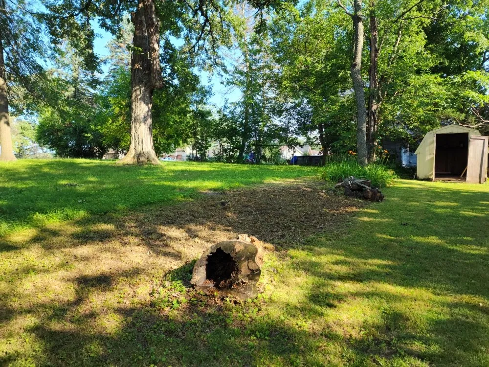 Reliable yard cleanup service in Kankakee, IL by Abe & Rhett's Lawn Care