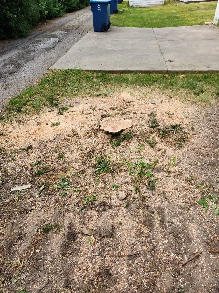 Professional landscape design for year-round maintenance in Kankakee, IL by Abe & Rhett's Lawn Care