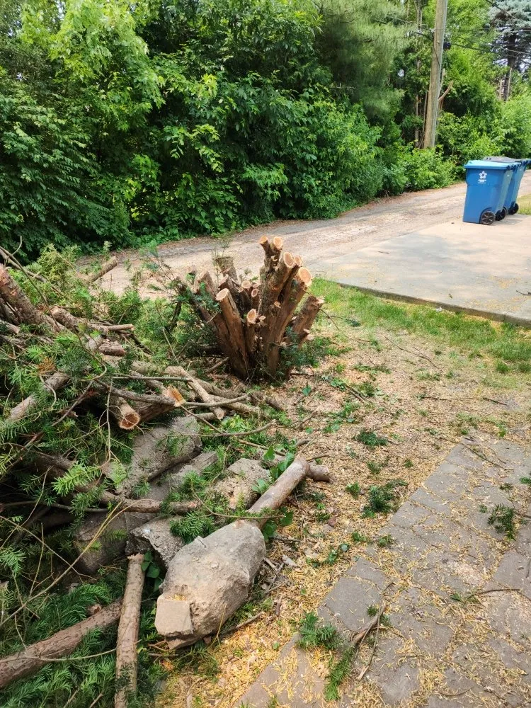 Expert landscape installation for homes across Kankakee, IL - Abe & Rhett's Lawn Care