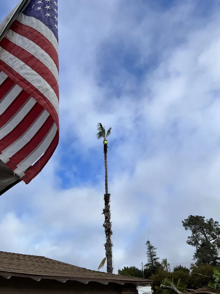 Local yard maintenance for outdoor upgrades across Vista, CA - ABE-Landscape