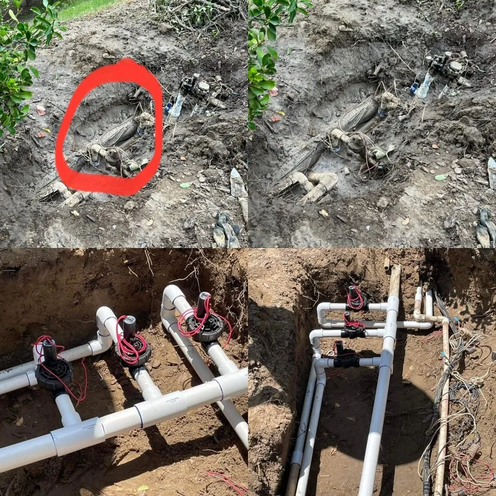 Top-rated garden landscaping experts serving Vista, CA - ABE-Landscape