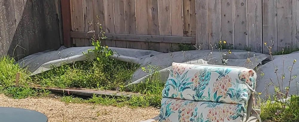 Custom garden landscaping in Vista, CA by ABE-Landscape