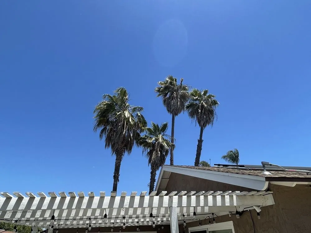 Trusted landscape installation for residential properties in Vista, CA by ABE-Landscape