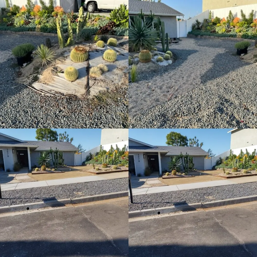 Expert landscape design in Vista, CA by ABE-Landscape