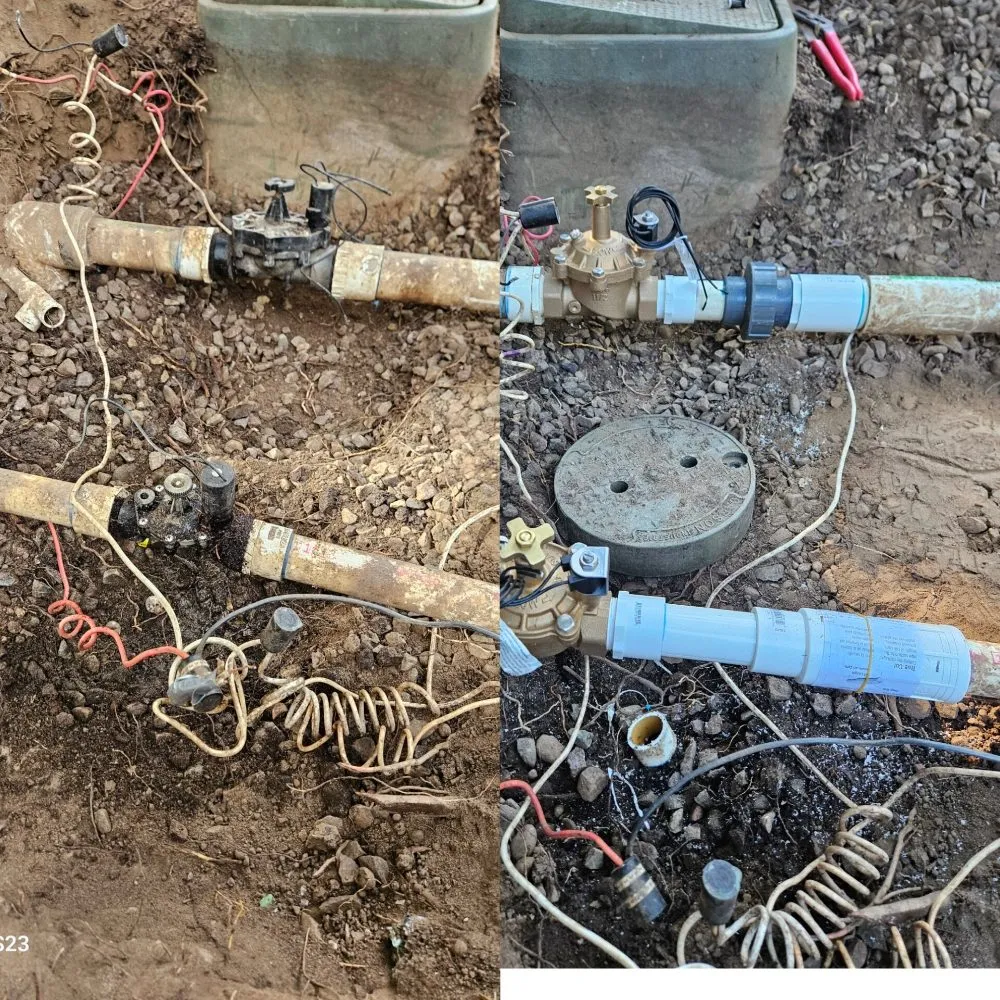 Professional lawn care service experts serving Vista, CA - ABE-Landscape