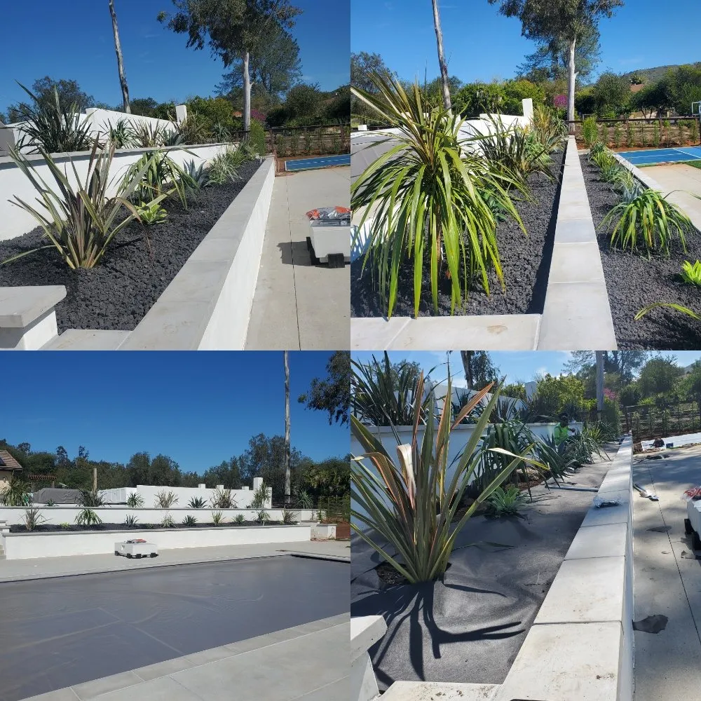 Reliable lawn care service for year-round maintenance across Vista, CA - ABE-Landscape