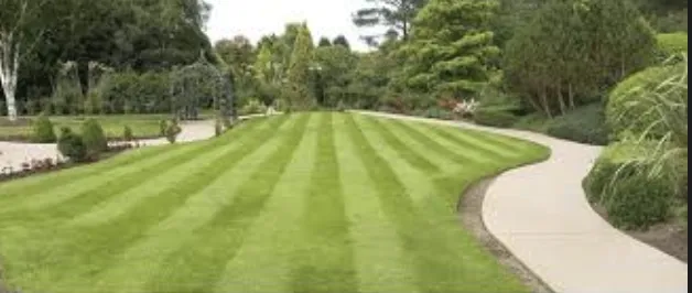 Custom landscaping services for year-round maintenance across Marshfield, WI - Abear Lawn Care