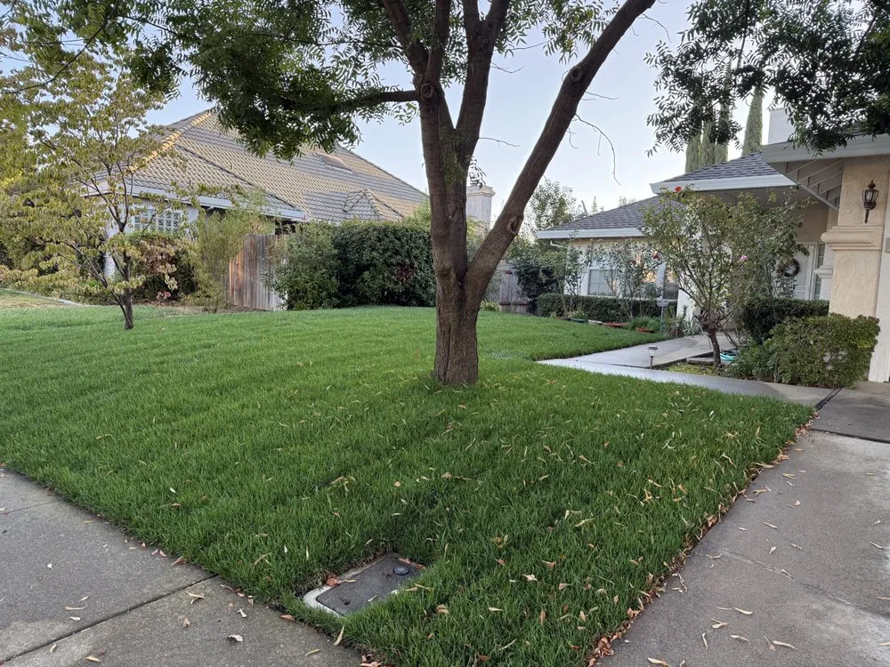 Expert garden landscaping for residential properties in Yuba City, CA by Abel Gonzales Maintenance