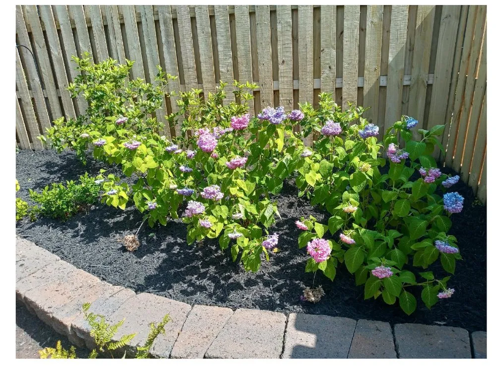 Trusted residential landscaping with custom design across Simpsonville, SC - Abel Landscaping & Construction