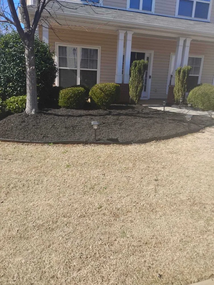 Local yard cleanup service for year-round maintenance across Simpsonville, SC - Abel Landscaping & Construction