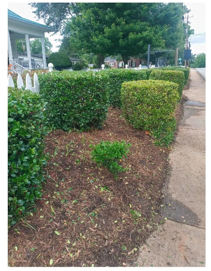 Local garden landscaping in Simpsonville, SC by Abel Landscaping & Construction