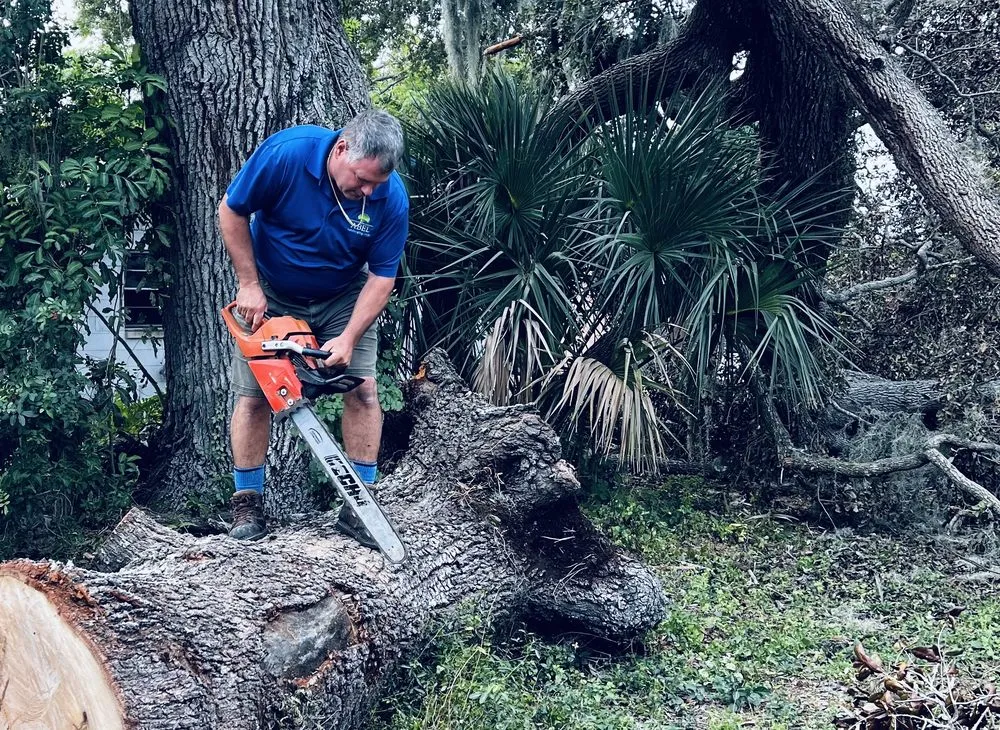 Local lawn mowing service in Bradenton, FL - Abel Landscaping